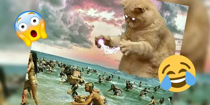 Memes para videos: una estrategia de marca